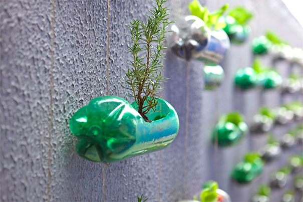 Wall garden using recycled plastic bottles as planters, showcasing creative recycling ideas. Wall garden using recycled plastic bottles as planters, showcasing creative recycling ideas.