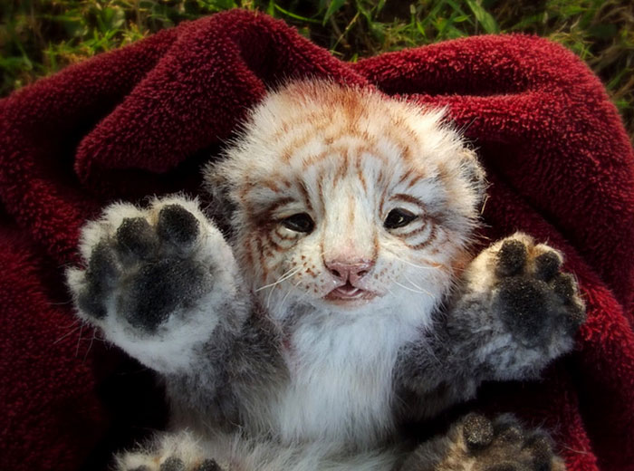 realistic-plush-animal-toys-wood-splitter-lee-creations-27 realistic-plush-animal-toys-wood-splitter-lee-creations-27