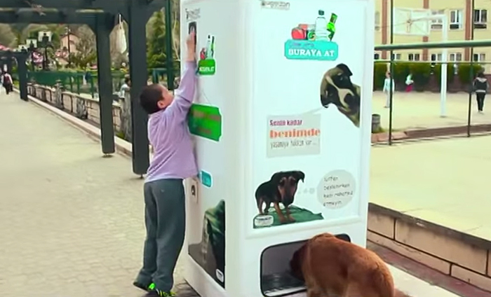 stray-dog-food-vending-machine-recycling-pugedon-4 stray-dog-food-vending-machine-recycling-pugedon-4