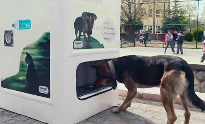 stray-dog-food-vending-machine-recycling-pugedon-6 stray-dog-food-vending-machine-recycling-pugedon-6