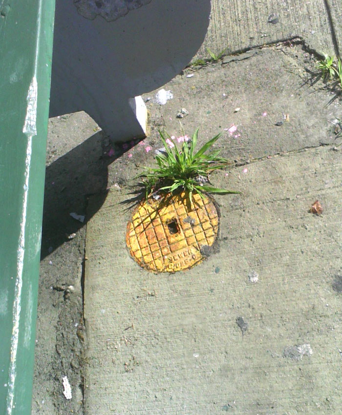 street-art-interacts-with-nature-12 street-art-interacts-with-nature-12