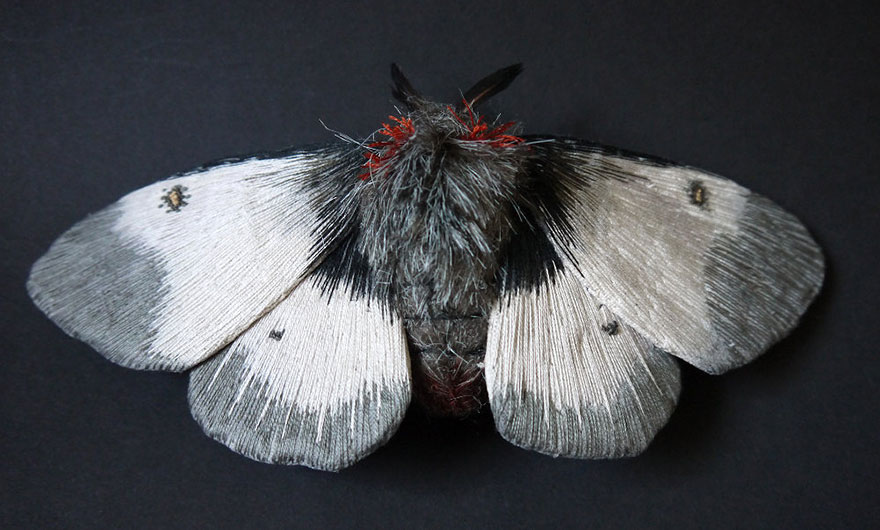 textile-sculptures-insects-moths-butterflies-yumi-okita-12
