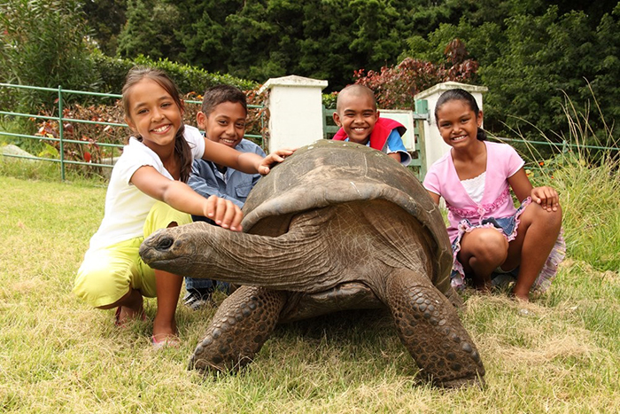 182-year-old-tortoise-jonathan-1 182-year-old-tortoise-jonathan-1