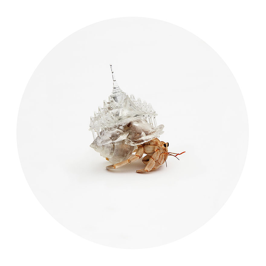 3d-printed-hermit-crab-architectural-shells-aki-inomata-1 3d-printed-hermit-crab-architectural-shells-aki-inomata-1