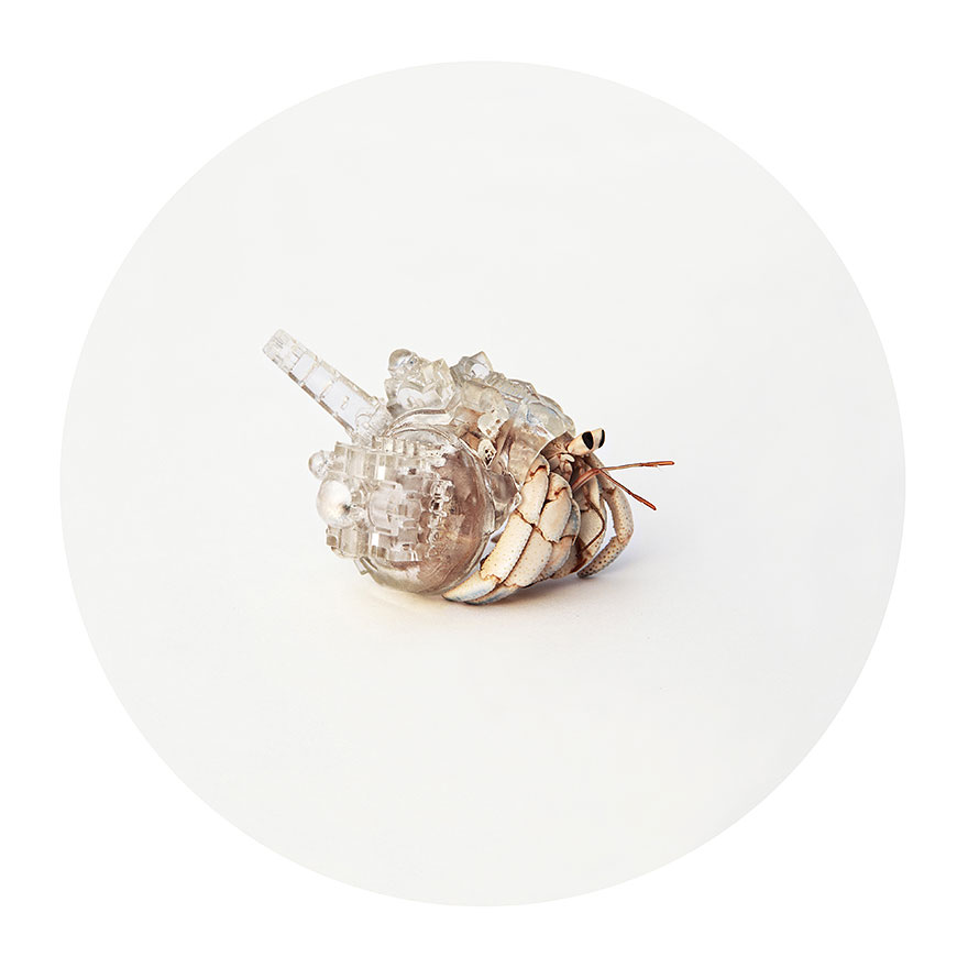 3d-printed-hermit-crab-architectural-shells-aki-inomata-2 3d-printed-hermit-crab-architectural-shells-aki-inomata-2