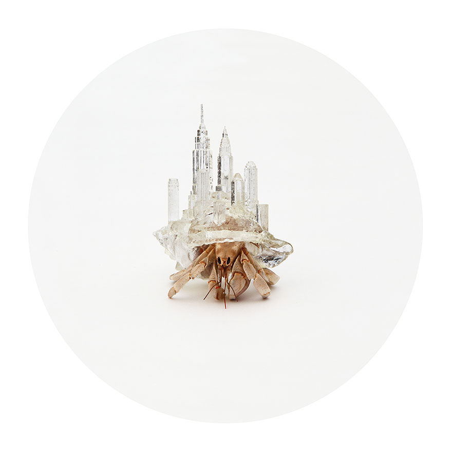 3d-printed-hermit-crab-architectural-shells-aki-inomata-3 3d-printed-hermit-crab-architectural-shells-aki-inomata-3