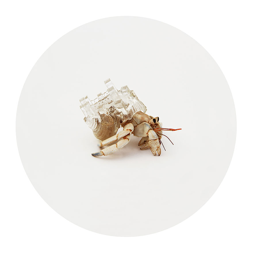 3d-printed-hermit-crab-architectural-shells-aki-inomata-5 3d-printed-hermit-crab-architectural-shells-aki-inomata-5
