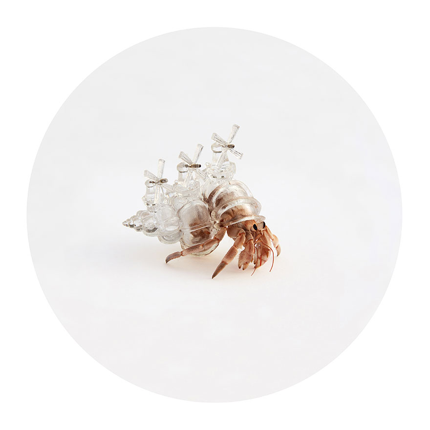 3d-printed-hermit-crab-architectural-shells-aki-inomata-6 3d-printed-hermit-crab-architectural-shells-aki-inomata-6
