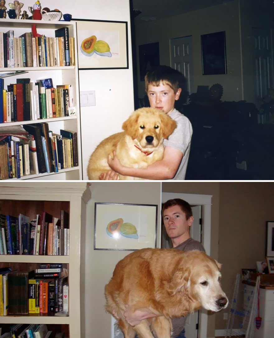 animals-before-after-then-now-31 animals-before-after-then-now-31