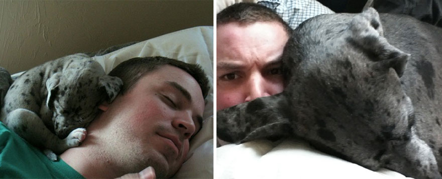 animals-before-after-then-now-44 animals-before-after-then-now-44