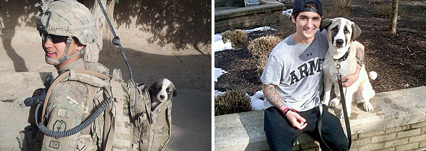 animals-before-after-then-now-49 animals-before-after-then-now-49