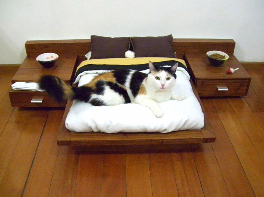 cat-furniture-111 cat-furniture-111
