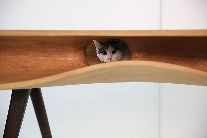 cat-furniture-creative-design-2 cat-furniture-creative-design-2