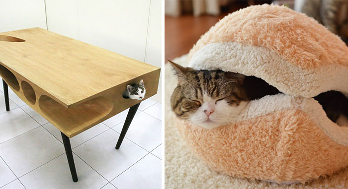 25 Awesome Furniture Design Ideas For Cat Lovers