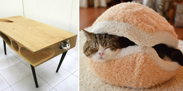 25 Awesome Furniture Design Ideas For Cat Lovers