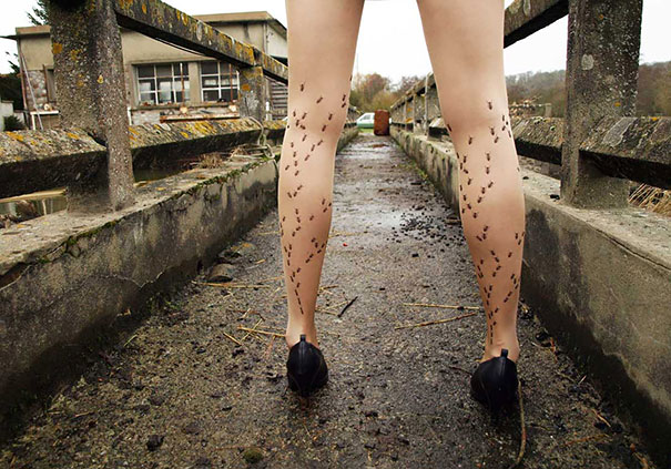 creative-socks-stockings-12 creative-socks-stockings-12