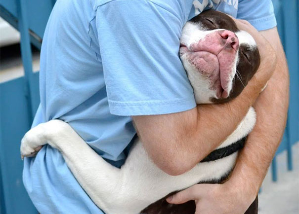 cute-dogs-hugging-humans-102 cute-dogs-hugging-humans-102