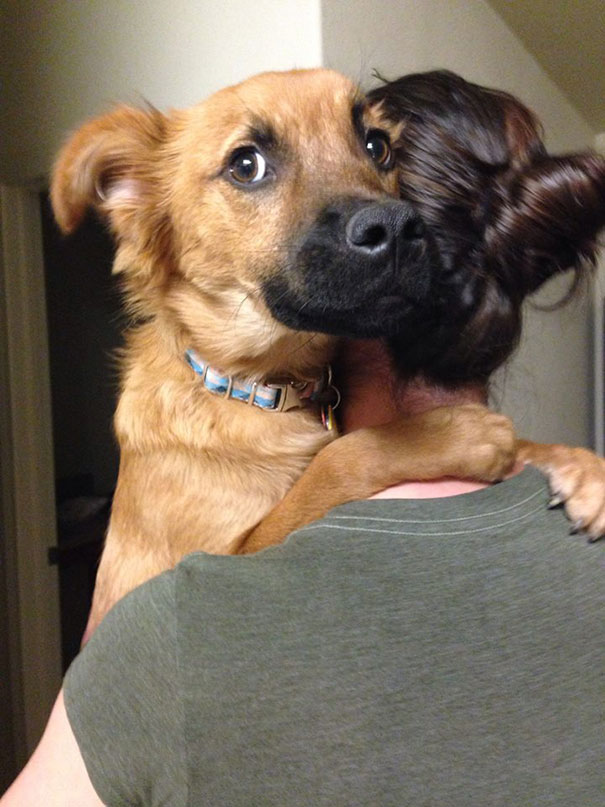 cute-dogs-hugging-humans-109 cute-dogs-hugging-humans-109