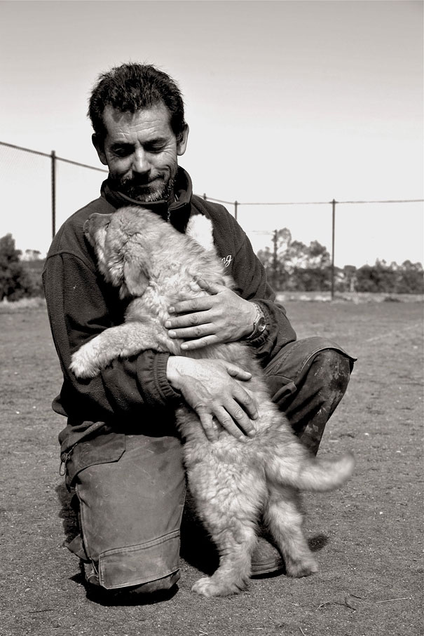 cute-dogs-hugging-humans-14 cute-dogs-hugging-humans-14