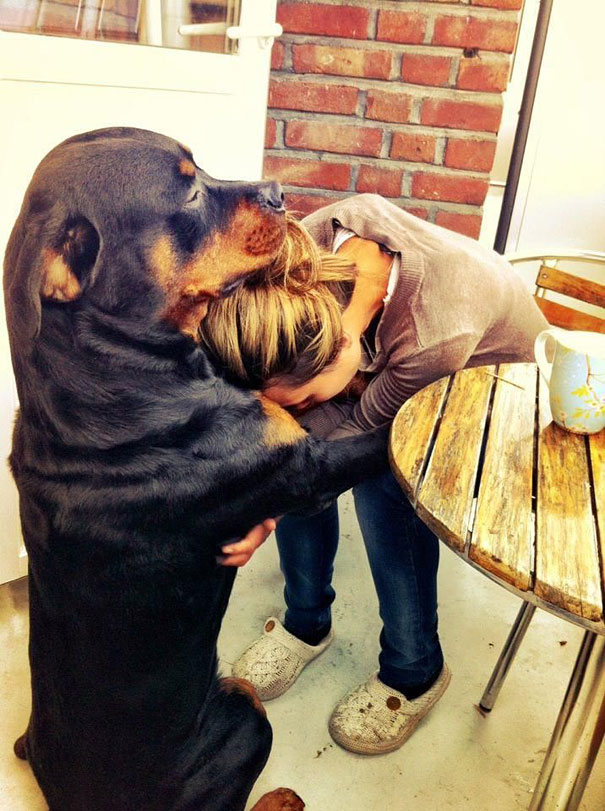 cute-dogs-hugging-humans-4 cute-dogs-hugging-humans-4