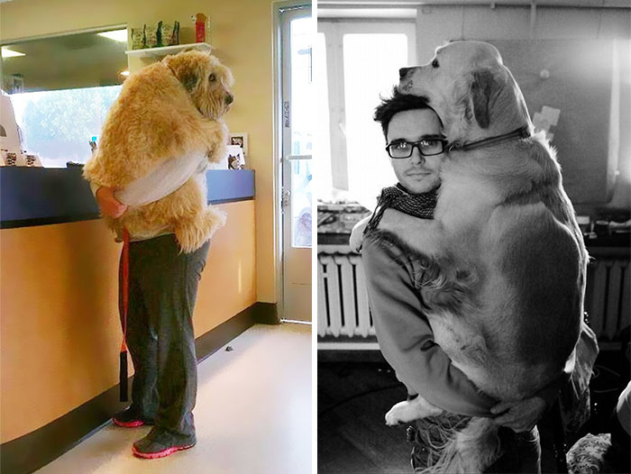 26 Dogs Hugging Their Humans