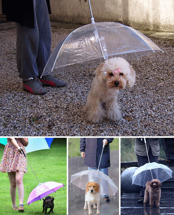 inventions-for-dog-lovers-10 inventions-for-dog-lovers-10