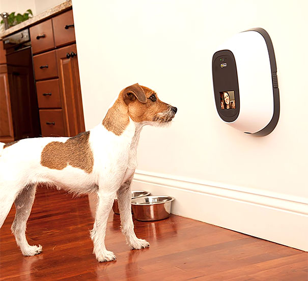 inventions-for-dog-lovers-13 inventions-for-dog-lovers-13