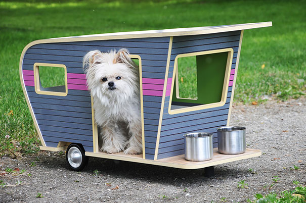 inventions-for-dog-lovers-14-1 inventions-for-dog-lovers-14-1