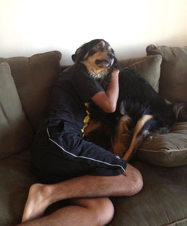 pefectly-timed-dog-photos-17 pefectly-timed-dog-photos-17