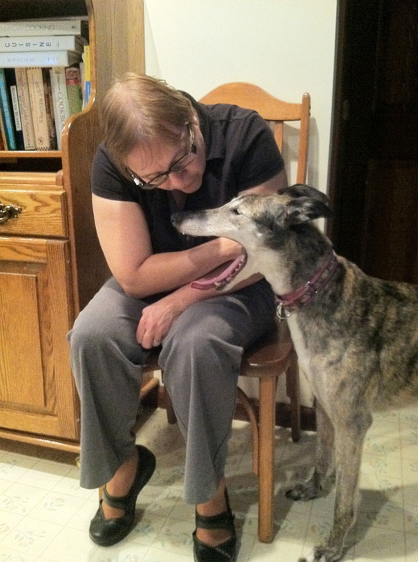 pefectly-timed-dog-photos-63 pefectly-timed-dog-photos-63