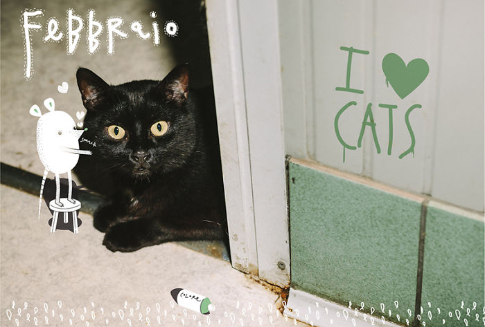 It's A Cat's World: I Made A Calendar For Those Who Like Little Furry Things (Except For Fur Coats)