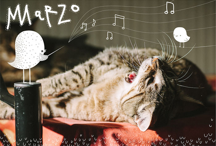 It's A Cat's World: I Made A Calendar For Those Who Like Little Furry Things (Except For Fur Coats)