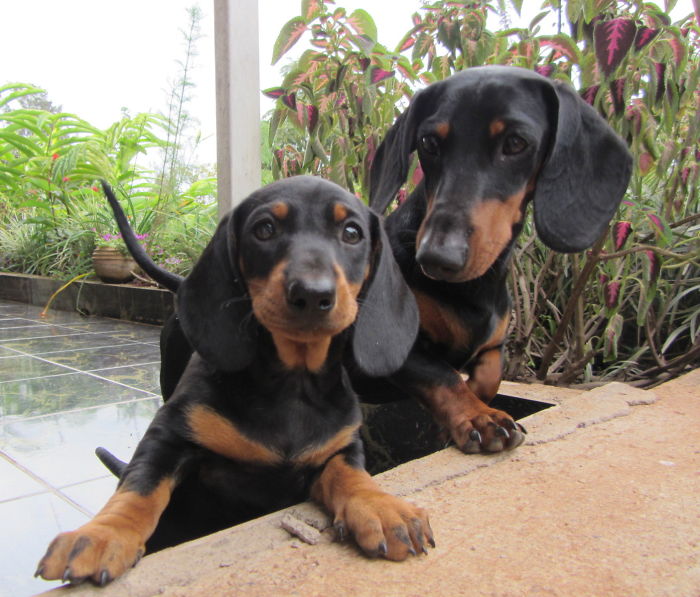 Looking Out For My Little Brother.