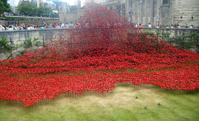 Tower Of London Remembers Ww1 With 888,246 Poppies
