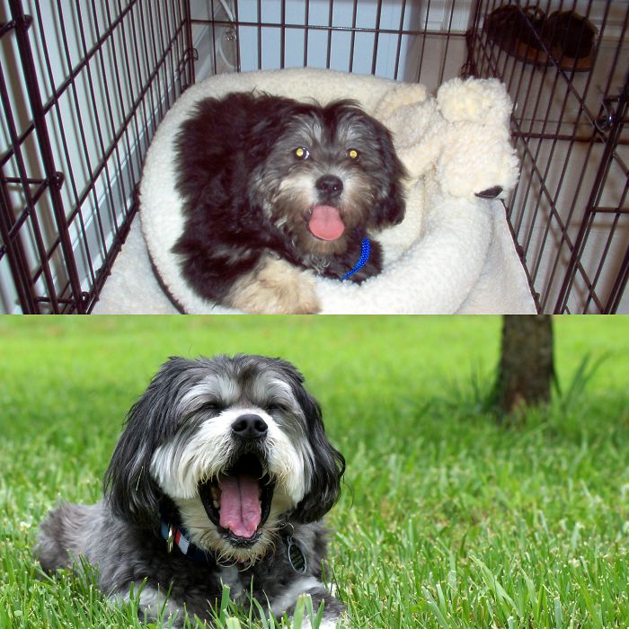 4 Month And 10 Years