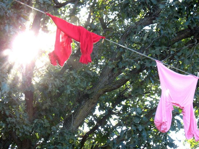 Minnesota Renaissance Festival