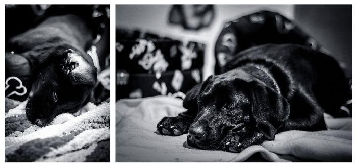 Chilli, 3 Months Apart..