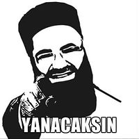 flyingcarrotstem avatar