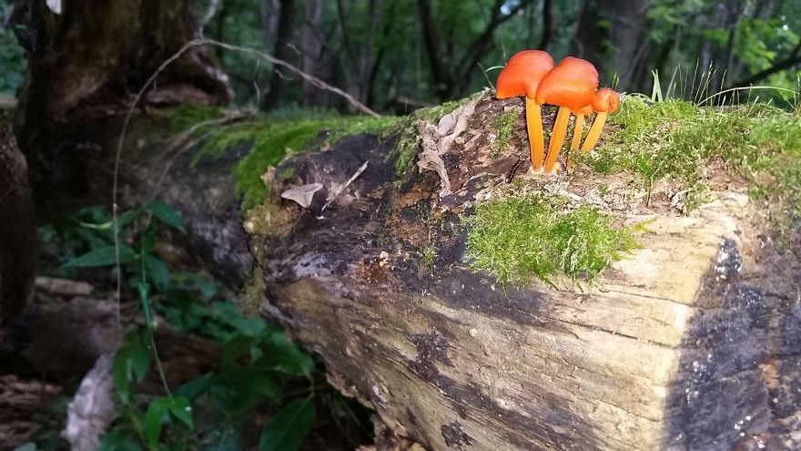 Mendon Ponds Park 8/14