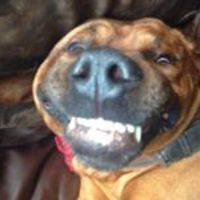 aneta-sulkowska-3 avatar