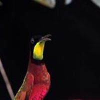 tomas.fernandez.796 avatar