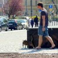 54049a65afee1 avatar