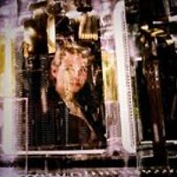 annakristiina.nielander avatar