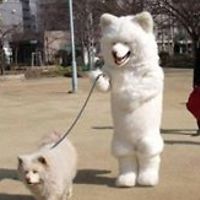 abes.oddysee.9 avatar