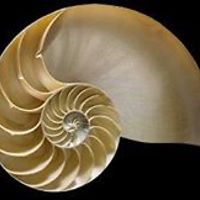 pauline.weldon.1 avatar