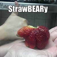 charlotte.auxfraises.718 avatar