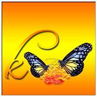 novemberraindrop avatar