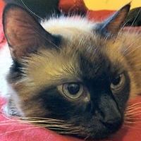 robert.a.sloan.39 avatar