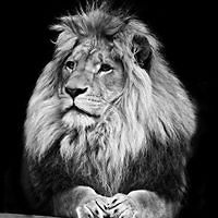 debbie.young.9699523 avatar