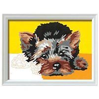 barbara.morhet avatar